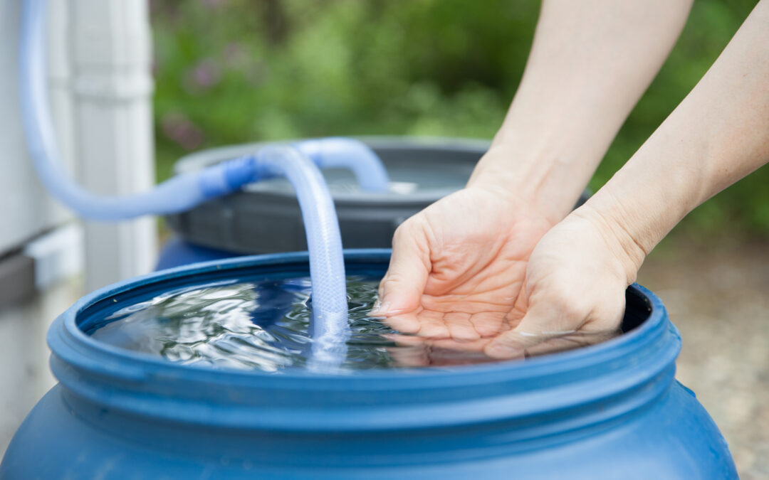 Les bonnes pratiques pour filtrer l’eau de pluie